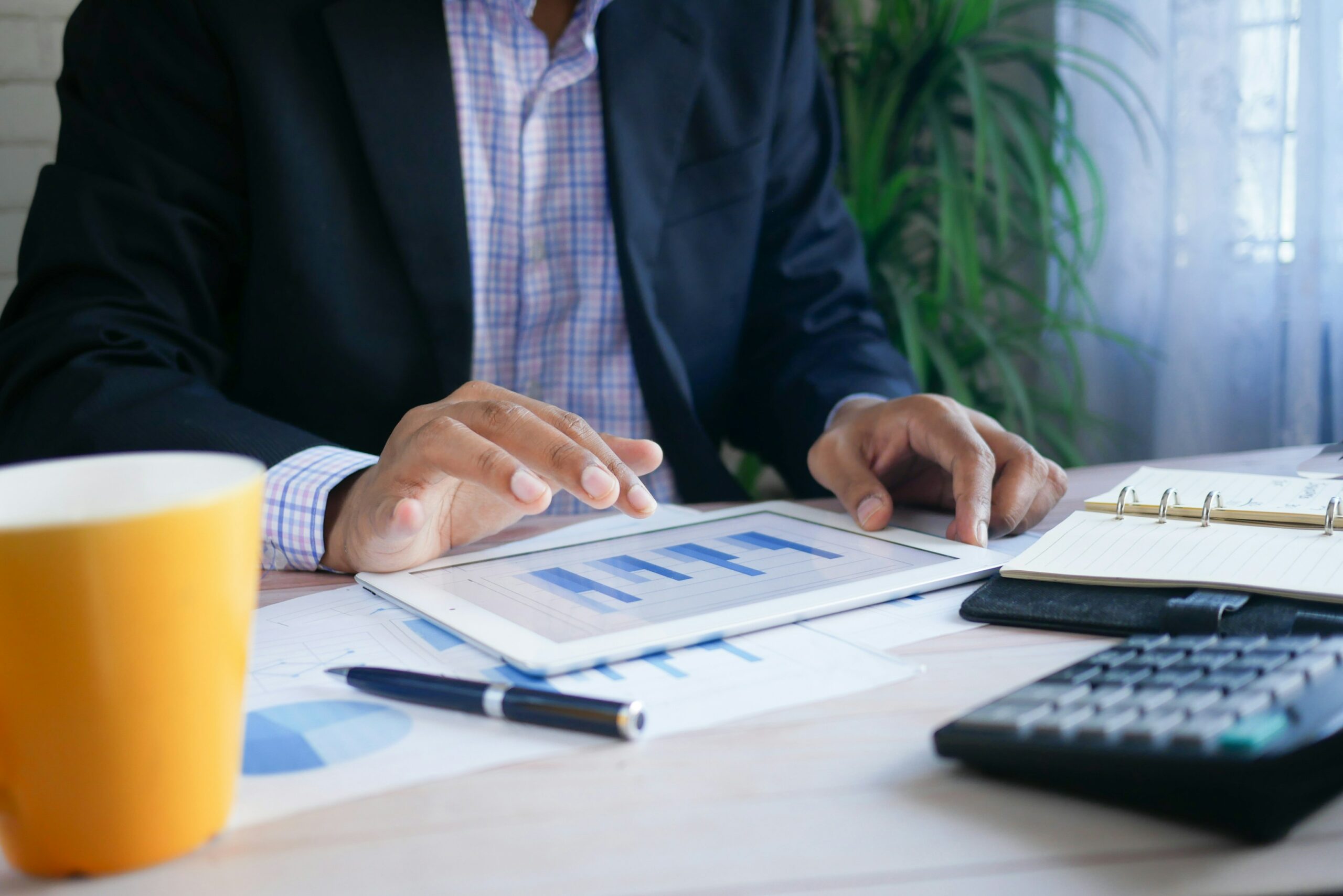 Company Audit